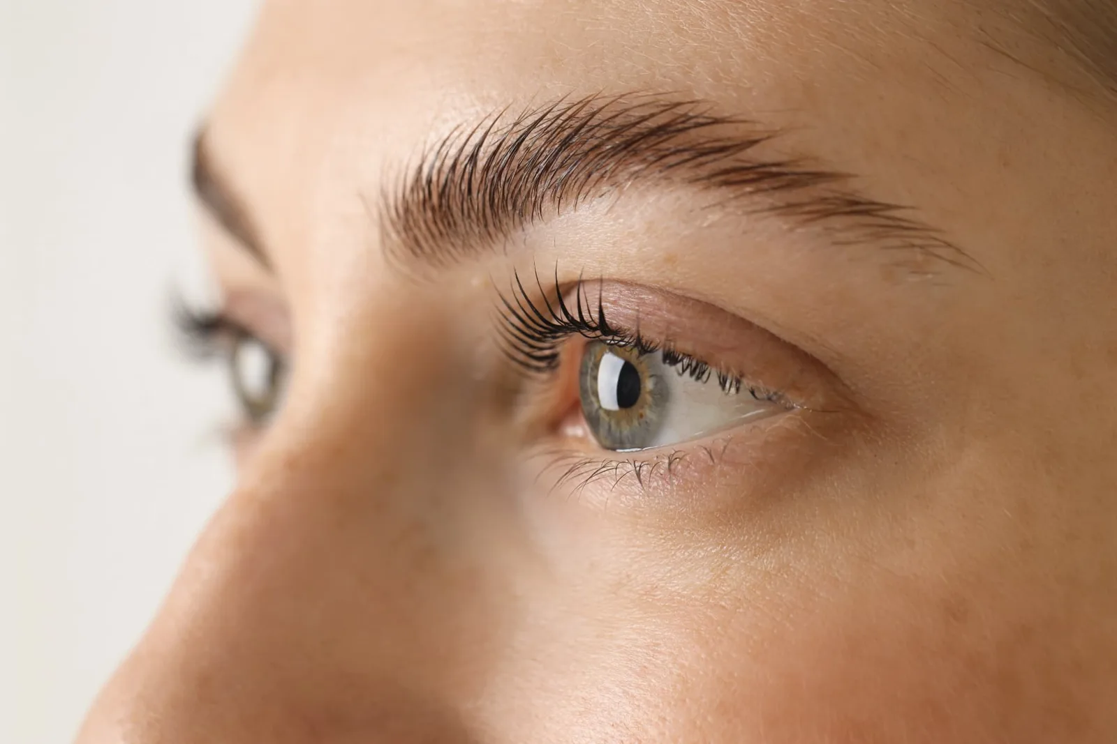 Close-up of groomed, brushed-up brows and lifted lashes